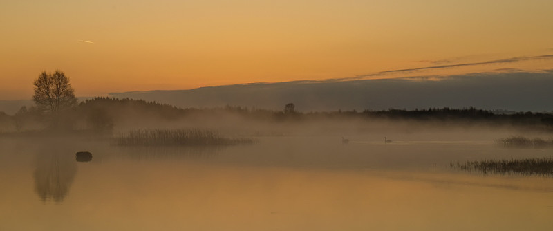 Sunrise at Lough Boora - All of the Rest Counties