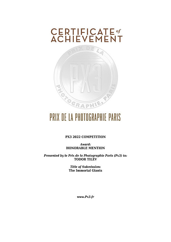 Paris International Awards_Honorable Mention_Nature _Trees - Achievements
