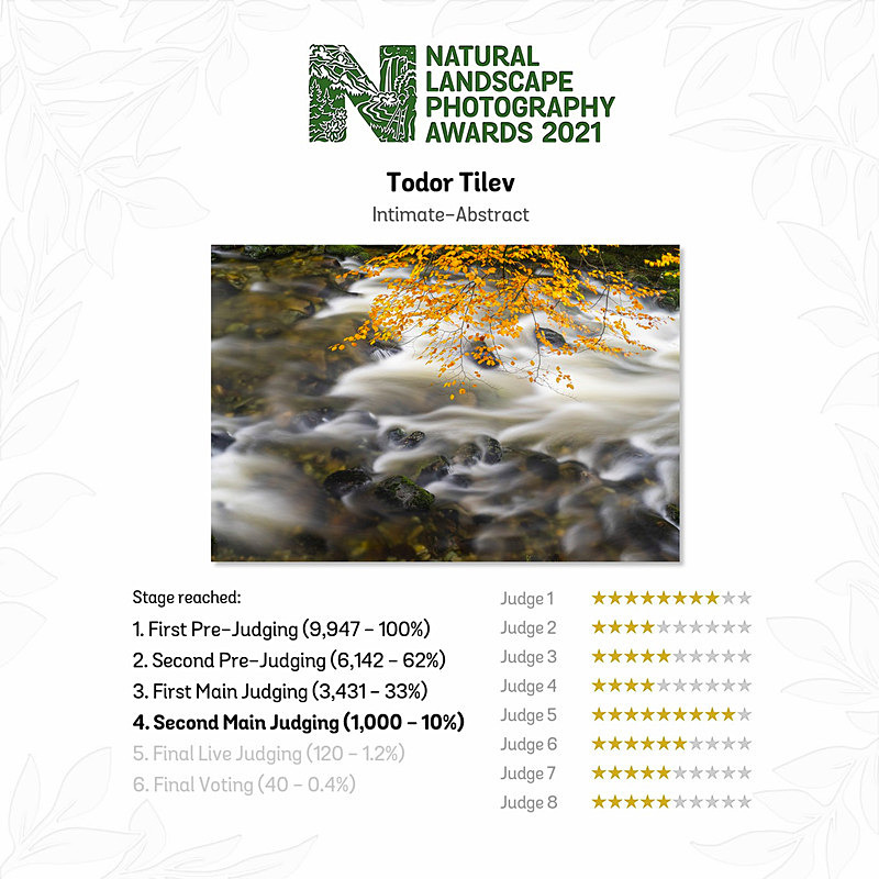 Natural Landscape Photography Awards_Intimate  Abstract - Achievements
