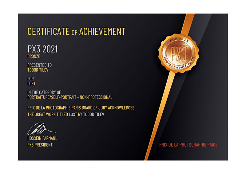 Paris International Awards_Bronze Award_Portraiture_Self-Portrait - Achievements