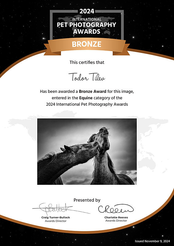 International Pet Photography Awards_2024_Bronze - Achievements