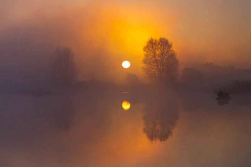 Magical Morning at Lake Boora, County Offaly, Ireland. - Awarded & Published Pictures 2022