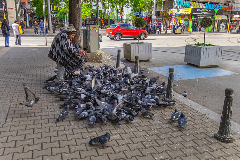 At the street, Sofia, Bulgaria. - Awarded Pictures 2020