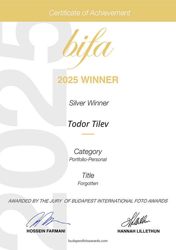 Budapest International Foto Awards_2025_Silver_Portfolio_Personal - Achievements