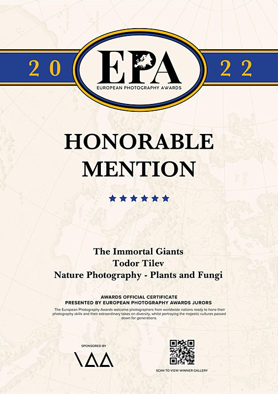 European Photography Awards_Nature_Plants and Fungi - Achievements
