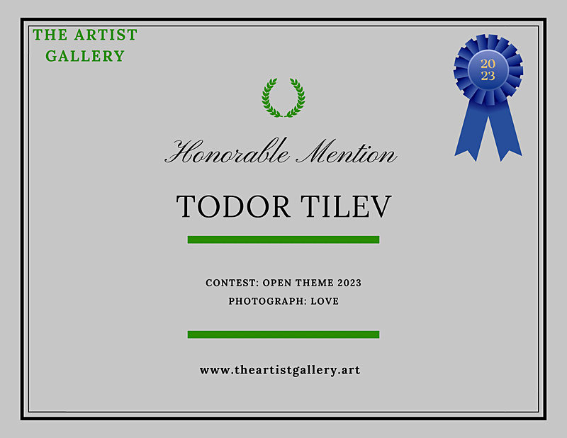 Artist Gallery Photography Awards_2023_Open Theme - Achievements