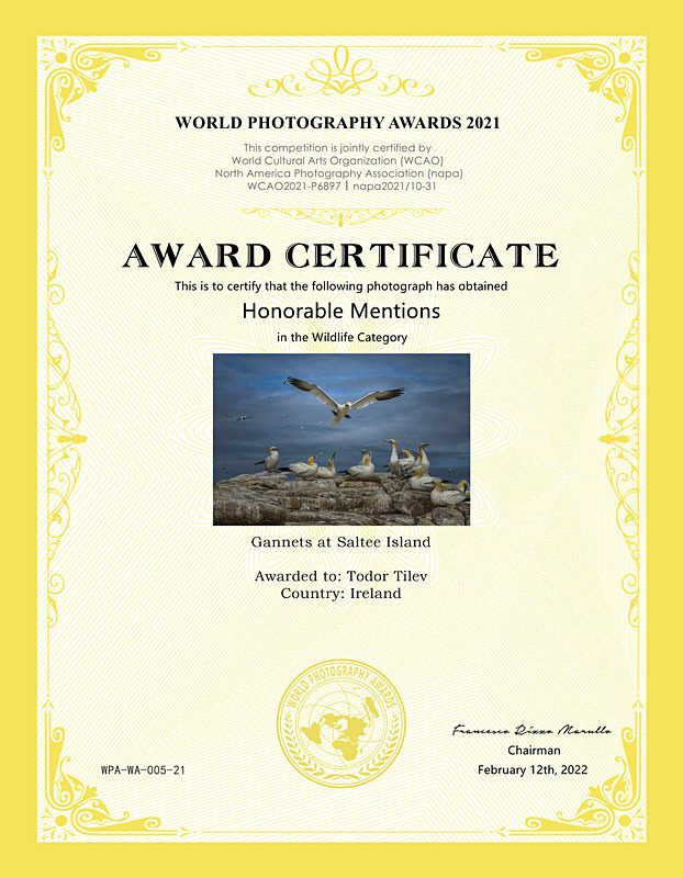World Photography Awards_2021_Wildlife - Achievements