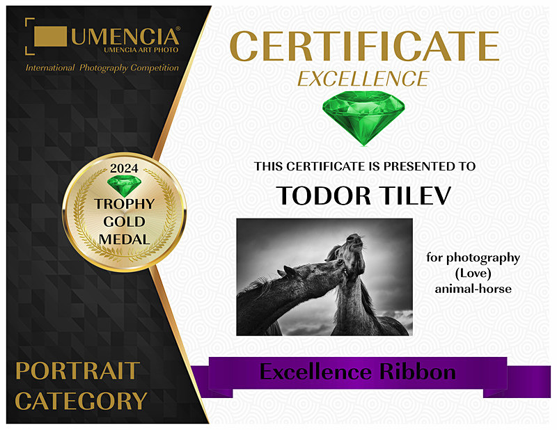 Umencia Internatinal Photgraphy Competition_2024_Gold Medal_Animals - Achievements