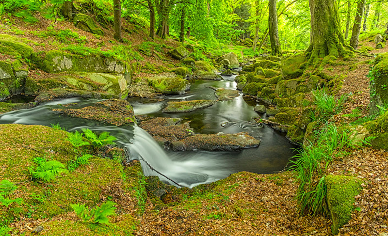 Waterfall at Sally Gap - Awarded Pictures 2020