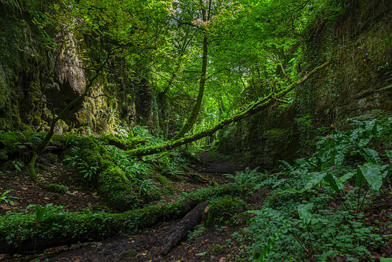 The Glen, County Sligo, Ireland. - Pictures out of this world