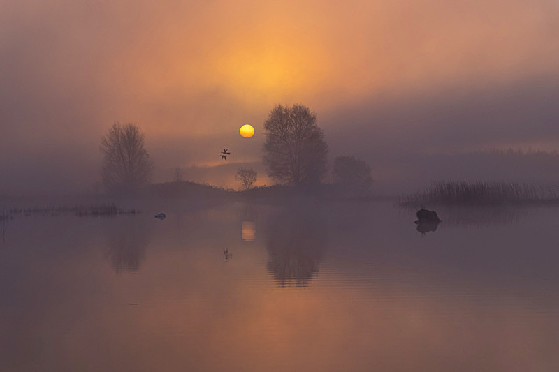 Sunrise at Lake Boora, County Offaly, Ireland. - Awarded & Published Pictures 2022