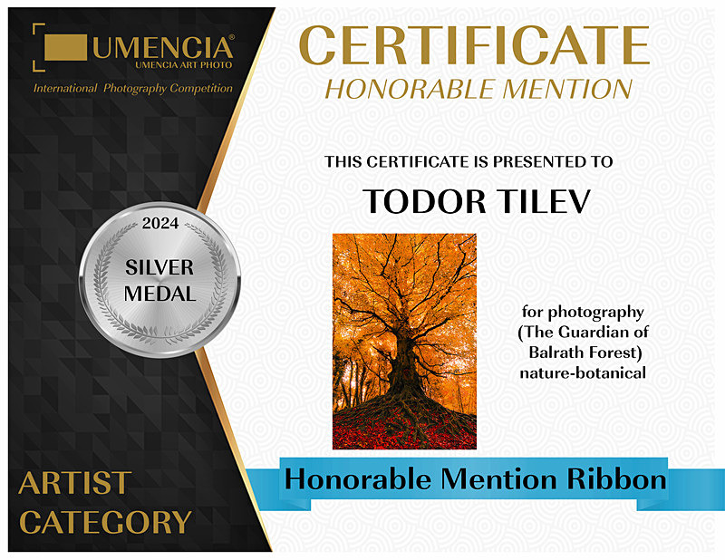 Umencia Internatinal Photgraphy Competition_2024_Silver Medal_Nature - Achievements