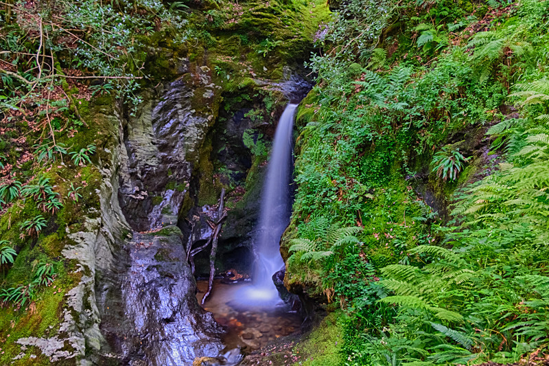 Poulanass Waterfall - Co Wicklow
