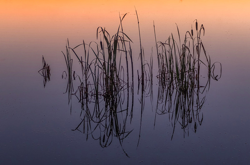 Reflections at Lake Boora, County Offaly, Ireland. - Awarded & Published Pictures 2022