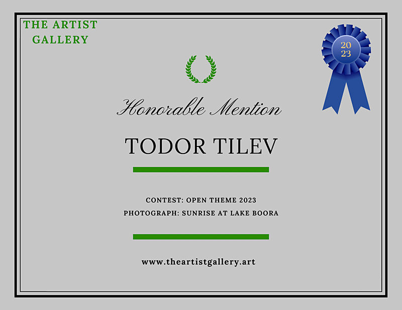 Artist Gallery Photography Awards_2023_Open Theme - Achievements