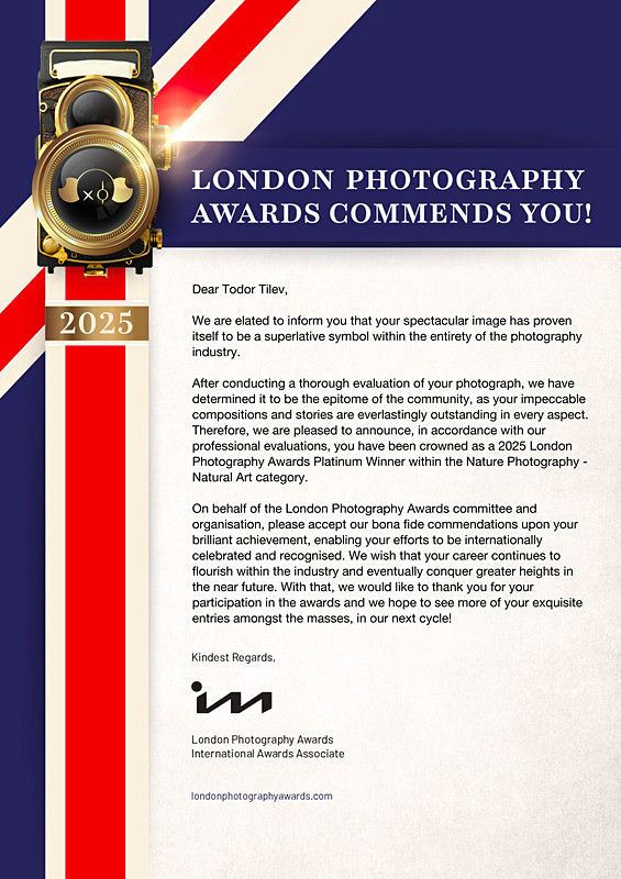 LondonPhotograph Awards_Congratulatory Letter_Nature - Achievements