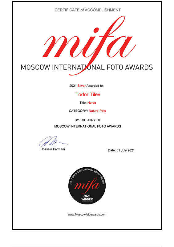 Moscow International Foto Awards_Silver Award_Nature_Pets - Achievements