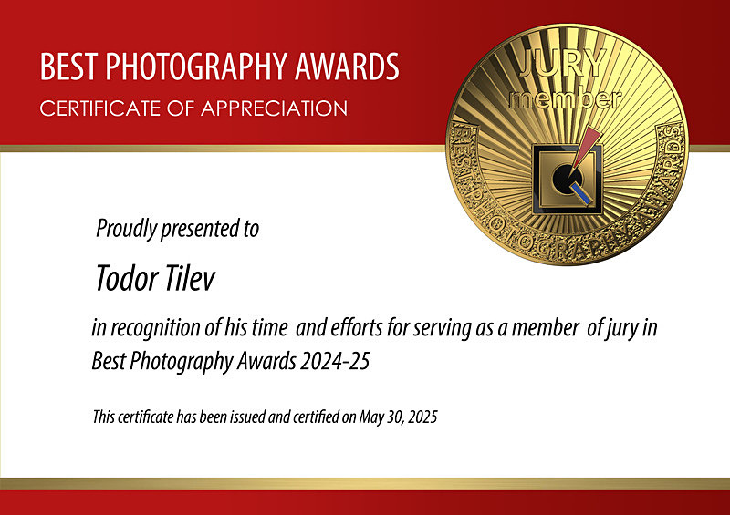 Best Photography Awards_2025_Judge - Achievements