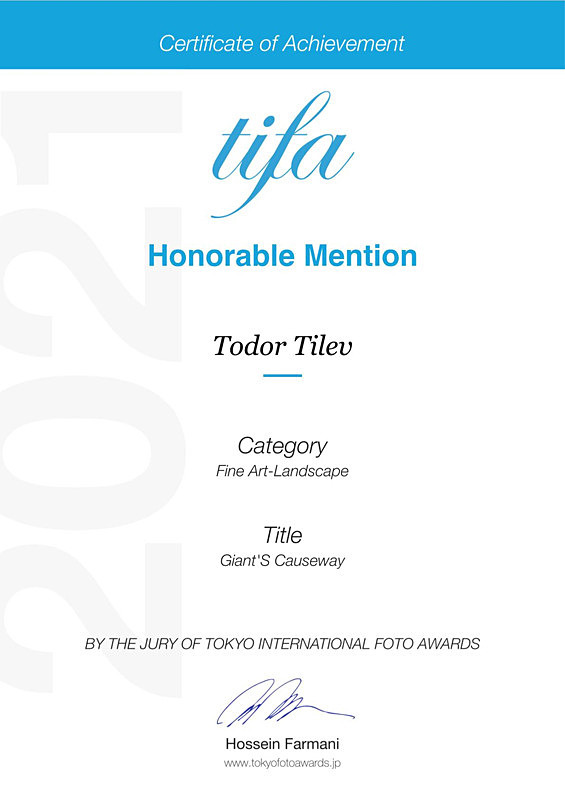 Tokyo International Foto Awards_Fine Art_Landscape - Achievements
