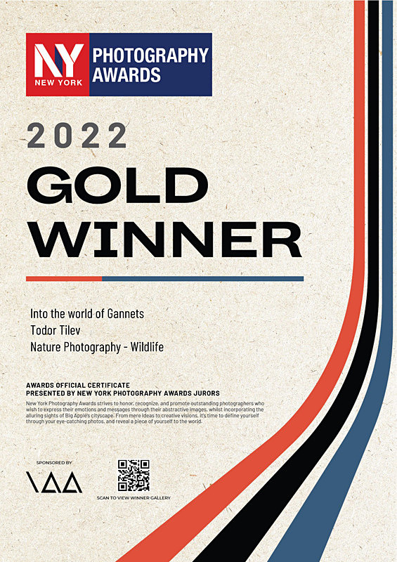 New York Photography Awards_2022_Gold Award_Nature_Wildlife - Achievements