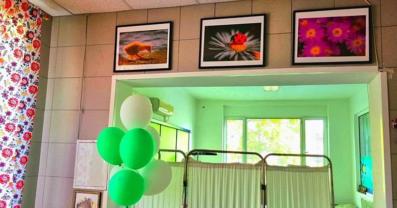 Second Solo Exhibition, 2022, Sheinovo Hospital, Sofia, Bulgaria. - Exhibitions