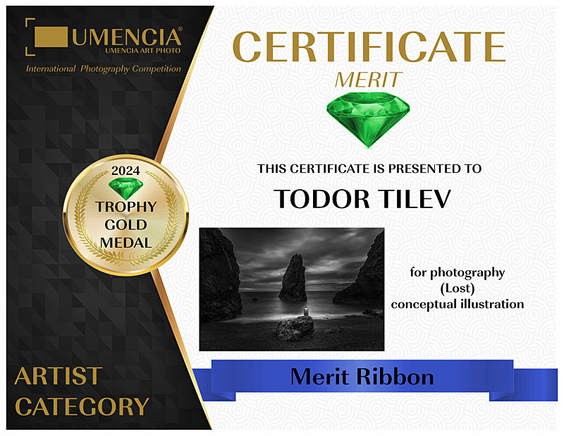 Umencia Internatinal Photgraphy Competition_2024_Gold Medal_Conceptual - Achievements