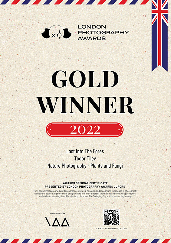 London Photography Awards_2022_Nature Photography-Plants  Fungi - Achievements