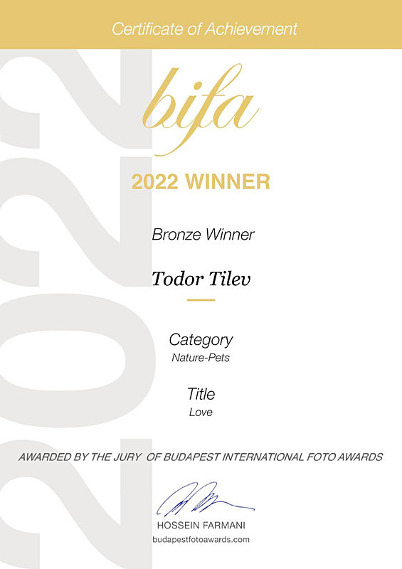 Budapest International Foto Awards_Bronze Award_Nature_Pets - Achievements