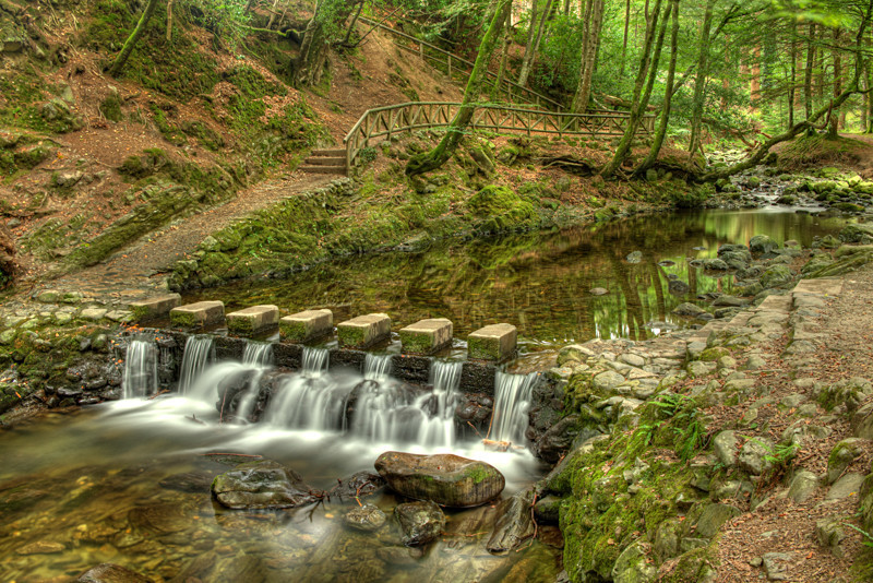 Tollymore Forest Park - Northern Ireland