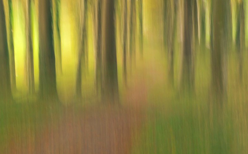 Intentional Camera Movement, Ireland. - Awarded & Published Pictures 2021
