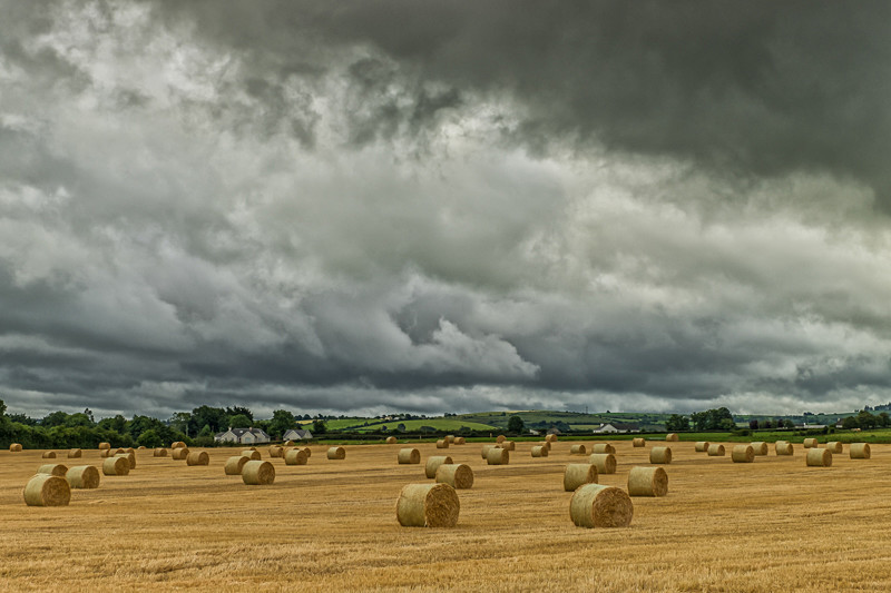 Harvest at Stradbally in County Laois - All of the Rest Counties
