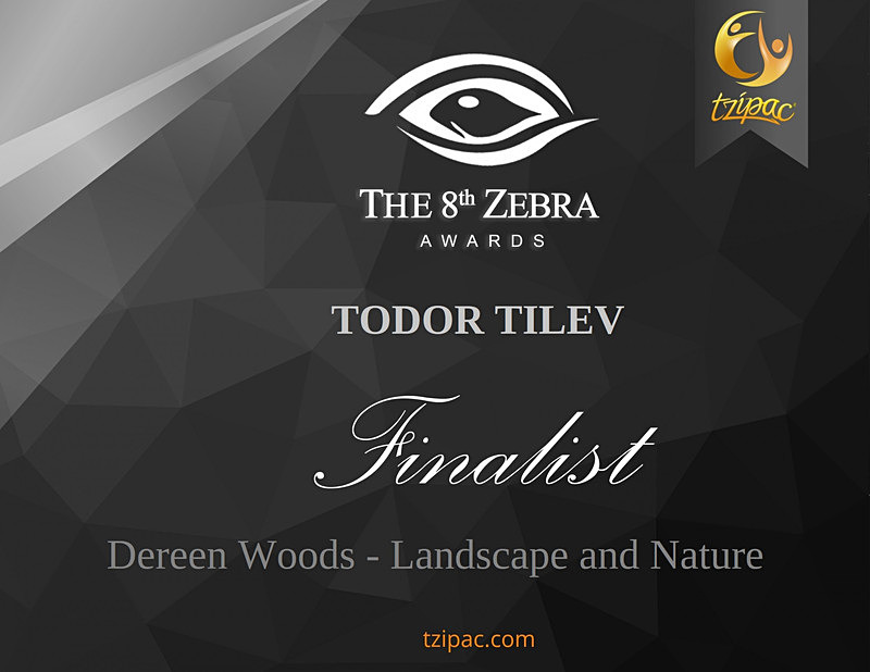 8th Zebra International Black and White Photography Awards_Dereen Wood - Achievements