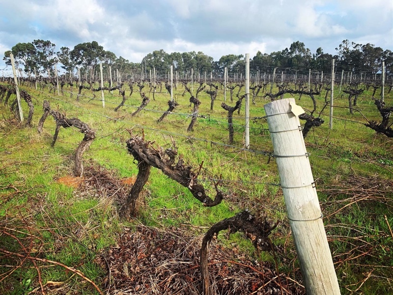 Margaret River Winery Cheers Wine Tour WA Across Australia Outback Tours aaotours holiday visit