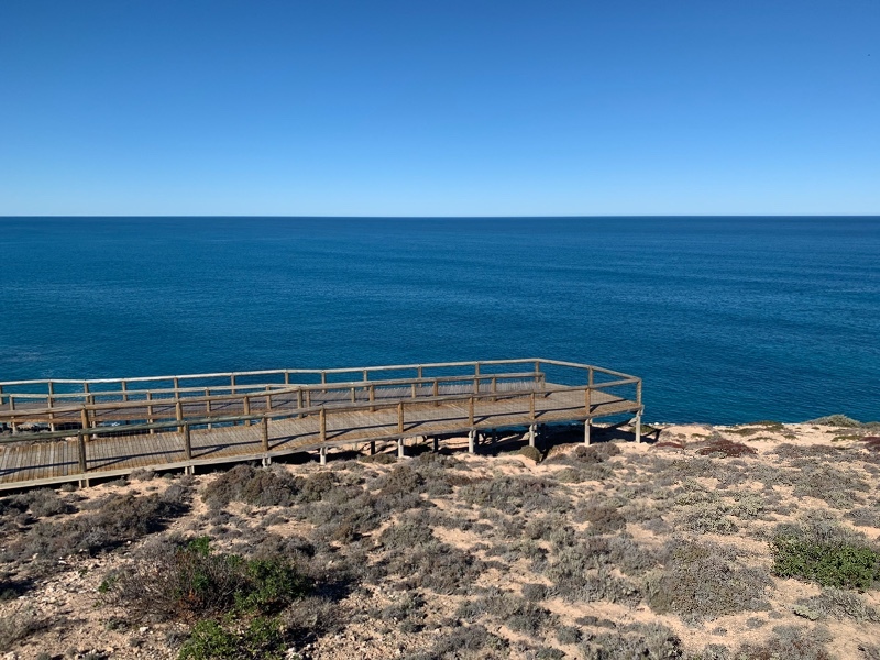 Head of the bight whale watch Nullarbor Plain SA Across Australia Outback Tours aaotours travel