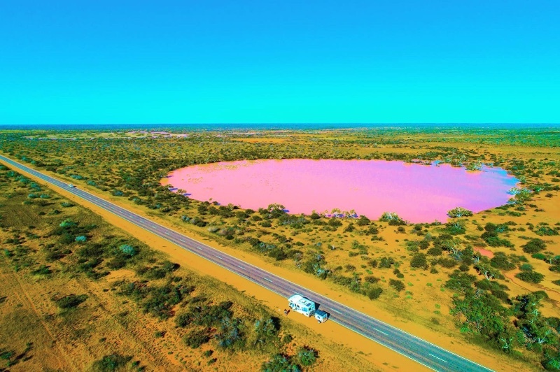 Pink Lake Carnarvon WA Custom Charter Across Australia Outback Tours AAOTours Travel Holiday