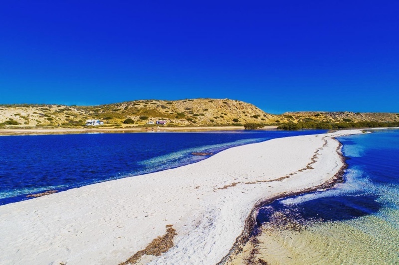 Coast Denham Shark Bay WA Custom Charter Across Australia Outback Tours AAOTours Travel Holiday