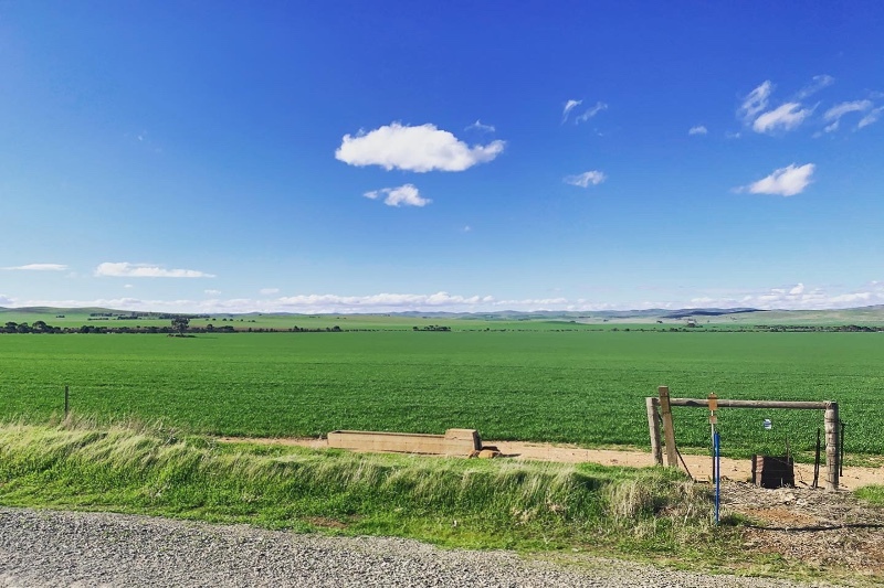 Green field somewhere in SA Across Australia Outback Tours aaotours travel holiday break