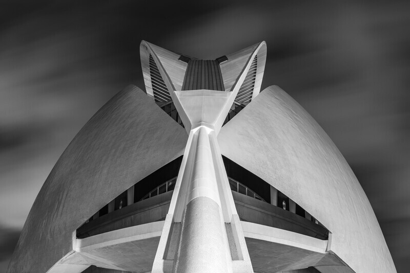 Mono, Palau de les Arts Reina Sofia, Valencia by Irish Photographer Adrian Hendroff - Outdoor Photography in Spain