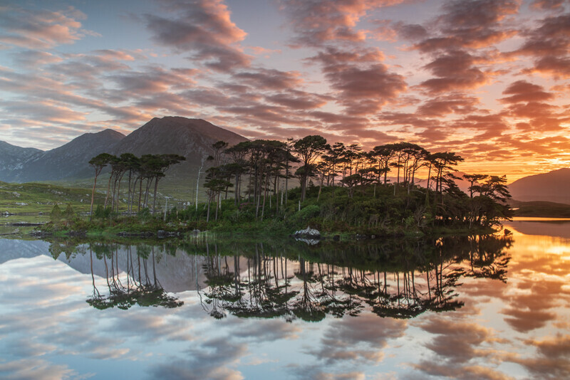 Pine Island Sunrise, Derryclare Lough, Connemara by Irish Outdoor Photographer Adrian Hendroff - Landscape and Outdoor Photography in Ireland