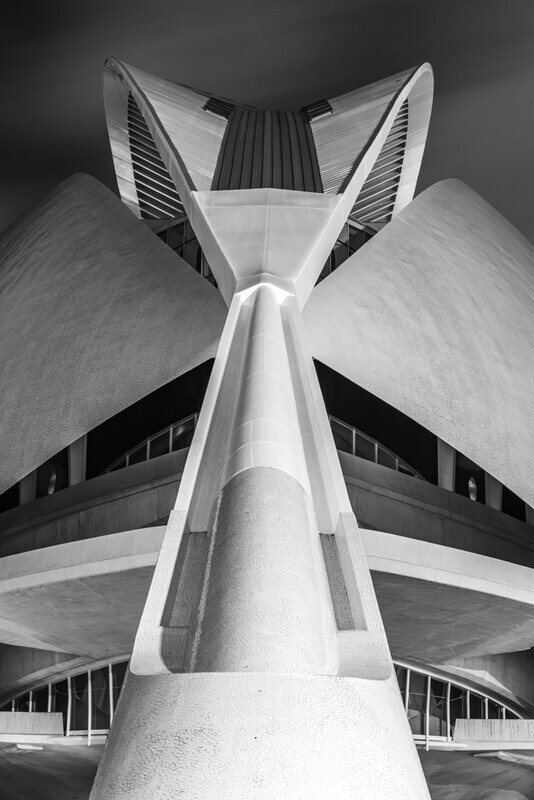 Mono, Palau de les Arts Reina Sofia, Valencia by Irish Photographer Adrian Hendroff - Outdoor Photography in Spain