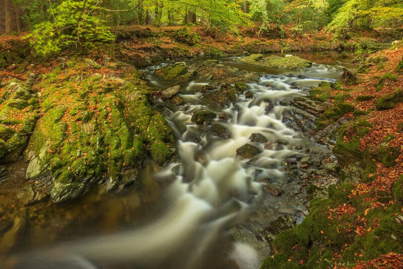 Shimna River, Tollymore Forest, Co Down by Irish Outdoor Photographer Adrian Hendroff - Landscape Photography in Ireland