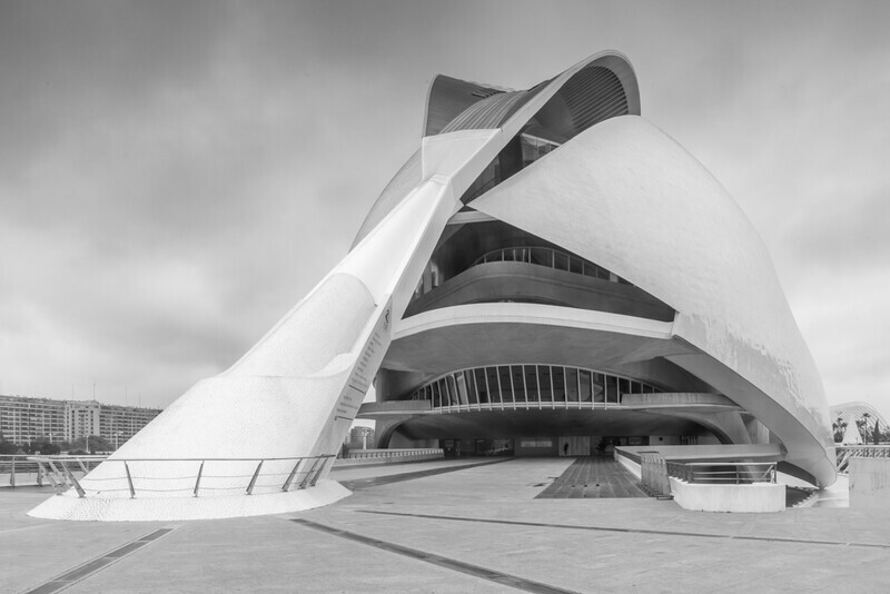 Proboscis, Palau de les Arts Reina Sofia, Valencia by Irish Photographer Adrian Hendroff - Outdoor Photography in Spain