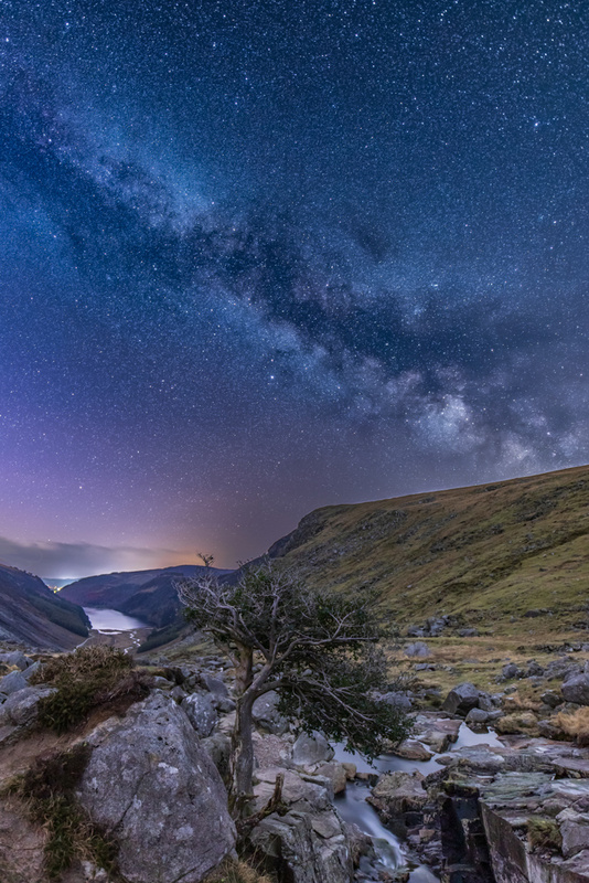 Milky Way Tree, Glendalough, Wicklow Mountains by Irish Photographer Adrian Hendroff - Outdoor Photography