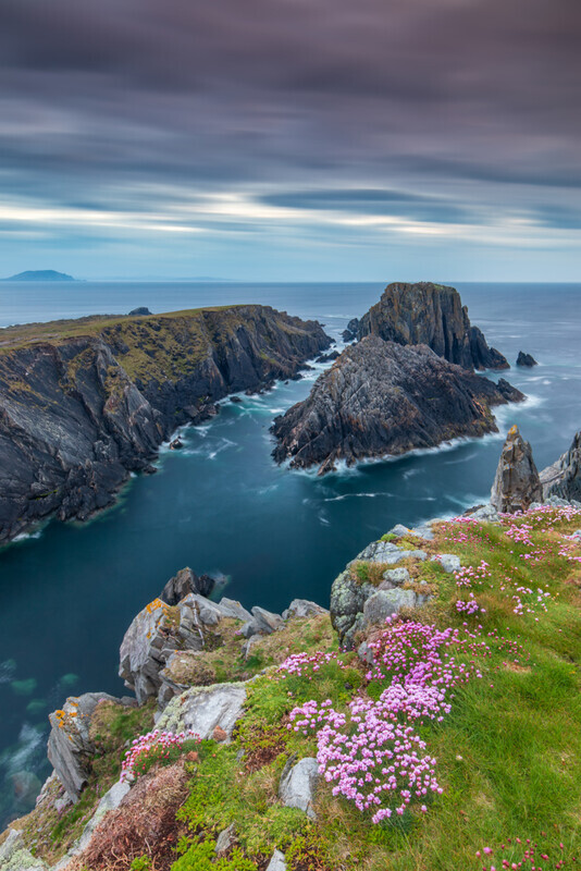 Malin Head Sea-Pinks in the Blue Hour - Portrait Version, Donegal by Irish Outdoor Photographer Adrian Hendroff - Landscape  Photography