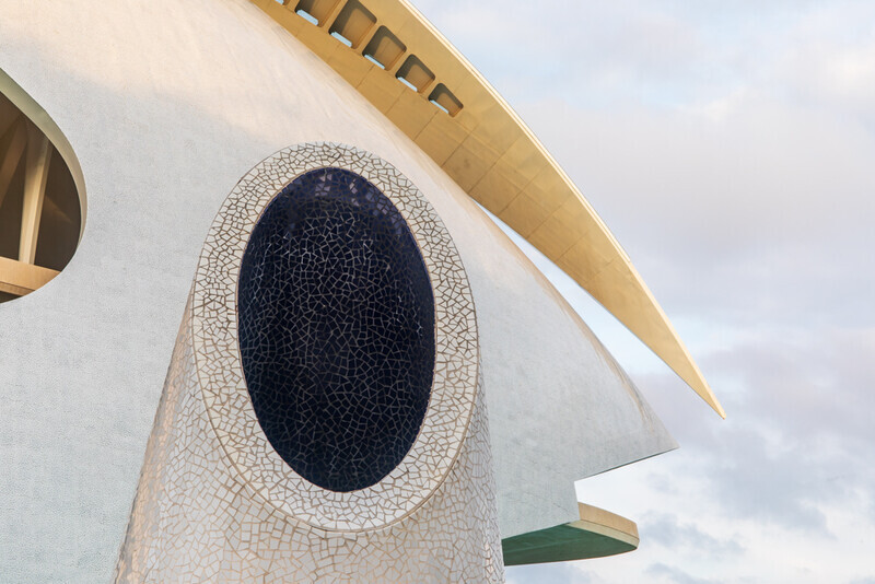 Fish Face, City of Arts and Sciences, Valencia by Irish Photographer Adrian Hendroff - Outdoor Photography in Spain
