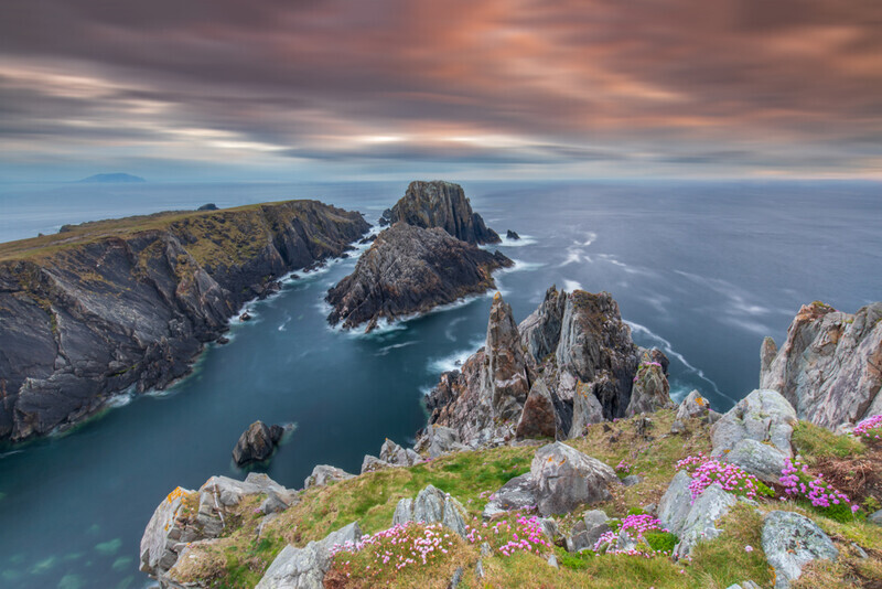 Sea Pinks at Malin Head, Co Donegal by Irish Outdoor Photographer Adrian Hendroff - Landscape Photography in Ireland