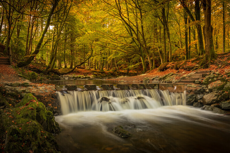 Stepping Stones, Tollymore Forest, Co Down by Irish Outdoor Photographer Adrian Hendroff - Landscape Photography in Ireland
