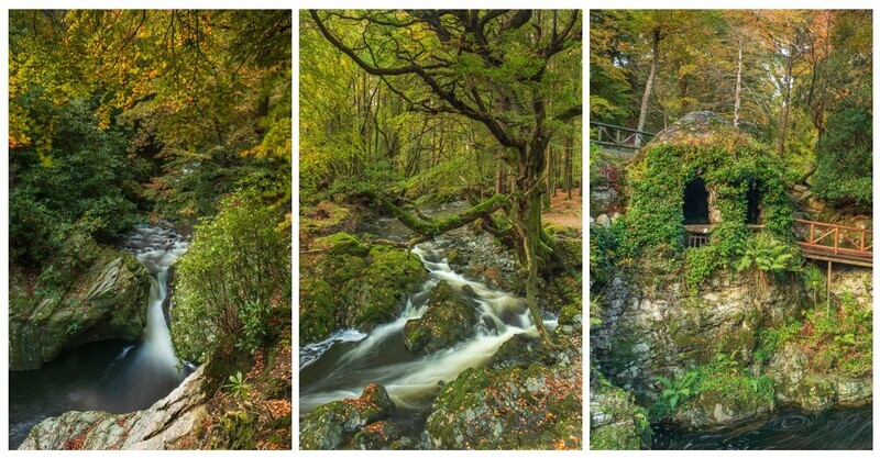 Tollymore in Autumn - Ireland Outdoor Photography Workshops and Tours by Adrian Hendroff