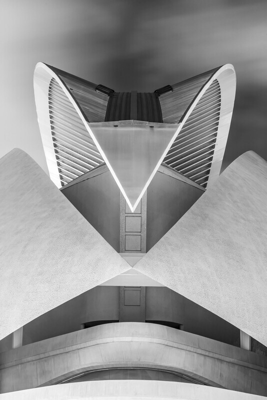 Mantis, Palau de les Arts Reina Sofia, Valencia by Irish Photographer Adrian Hendroff - Outdoor Photography in Spain