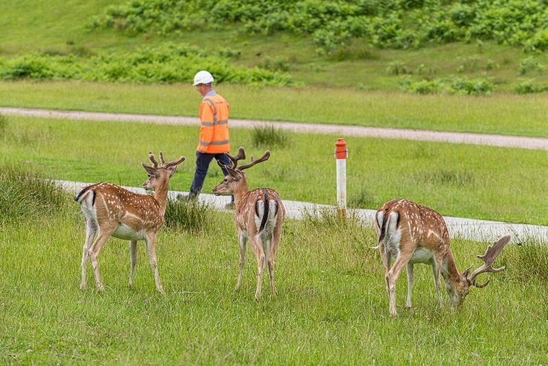 0066-IT - INDUSTRIAL & TECH